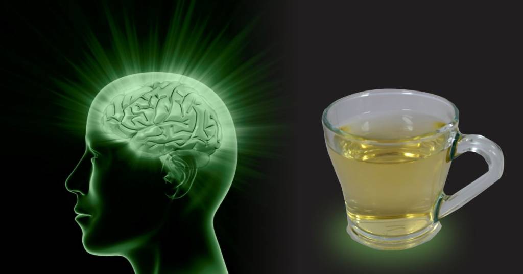 Green tea brain health