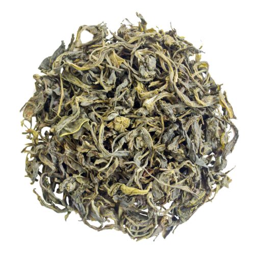 Darjeeling meilleur thé vert
