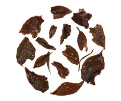 Darjeeling Muscatel Black Tea Infusion