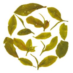 редкий зеленый чай дарджилинг