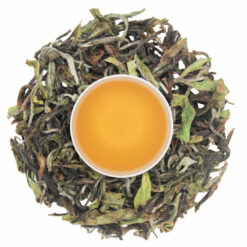 fresh oolong tea 2023